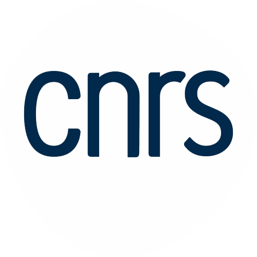 Logo CNRS — Centre national de la recherche scientifique